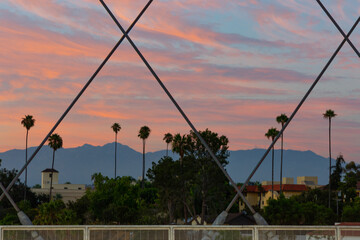 Palm trees silhouetted against a beautiful sunset viewed through the 6th street bridge in Los...