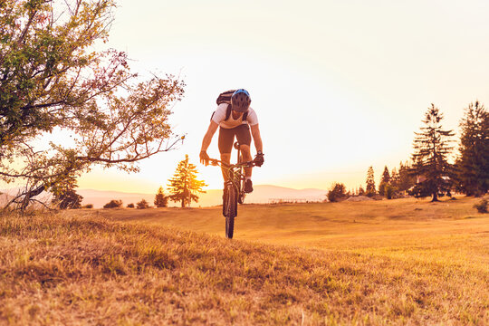 A cyclist rides a bike on forest roads at sunset