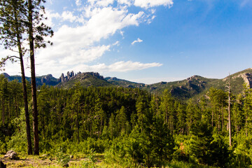 View from the Needles Highway in Summer, South Dakota