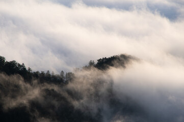 Obraz na płótnie Canvas 上から見下ろす雲に包まれた山の森の幻想的な雰囲気