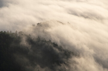 上から見下ろす雲に包まれた山の森の幻想的な雰囲気