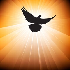 Pentecost Sunday. Pentecost background with flying dove and light - obrazy, fototapety, plakaty