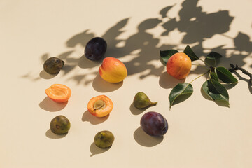 Colorful food pattern made of apricot, plum, fig and leaves. Sunlight and tree shadow. Flat lay.