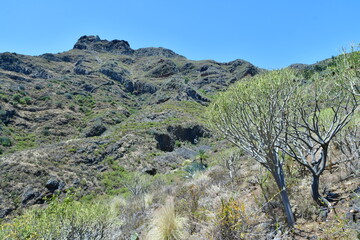 PAISAJE MONTAÑOSO