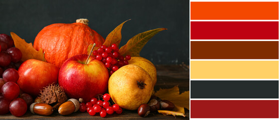 Beautiful autumn composition on dark background. Different color patterns