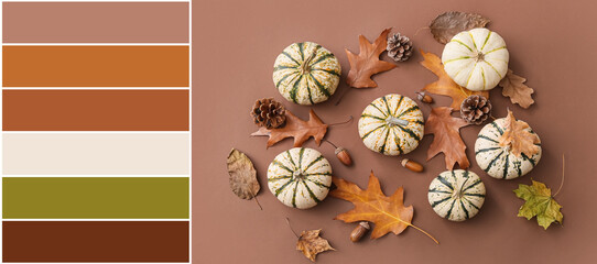 Beautiful autumn composition with pumpkins and fallen leaves on brown background. Different color patterns