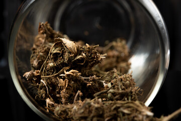 A close-up of marijuana buds in a glass jar