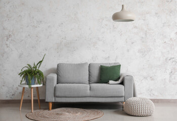 Grey sofa, table with houseplant and pouf near light wall