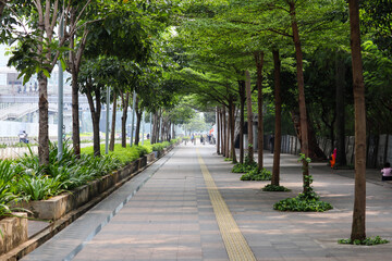 neatly lined plants planted around pedestrians in the Jakarta area