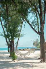 hammock on the beach