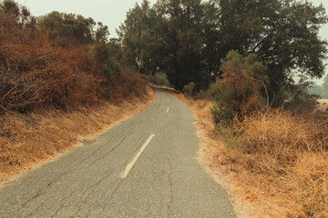 road in the desert