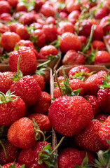 Ripe red strawberries. Strawberry background.