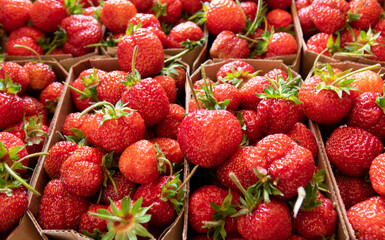 Ripe red strawberries. Strawberry background.