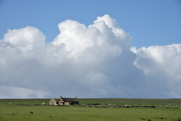 Fototapeta na wymiar Remote Farmhouse Under Big Sky on Orkney Island