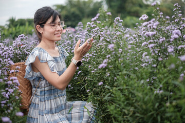 Happy woman tourist in blue dress enjoy in purple Margaret flowers garden. travel, nature, vacation and holiday concept