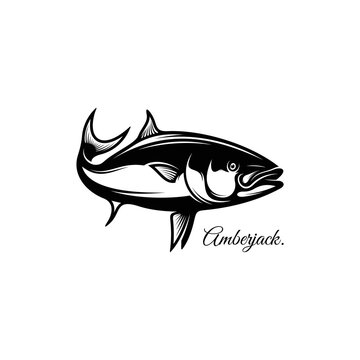 Silhouette Amberjack fish logo icon. Isolated on black and white.