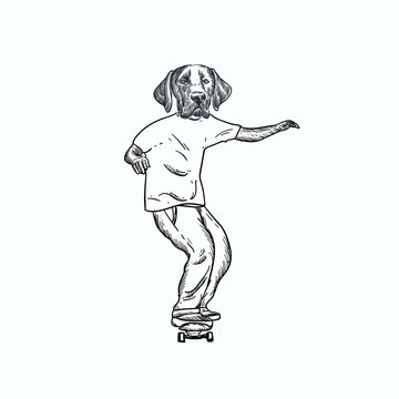 Vintage hand drawn sketch skate dog