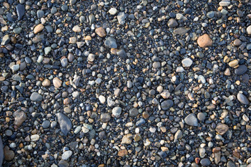 Texture or natural background of stones on the shore of a swampy river