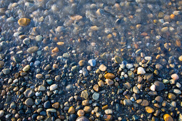 Texture or natural background of stones on the shore of a swampy river