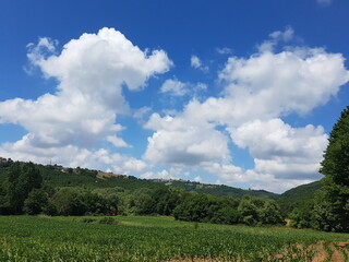Obraz premium field and blue sky