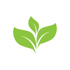 Green leaf illustration nature logo design