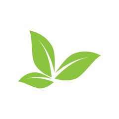 Obraz premium Green leaf illustration nature logo design