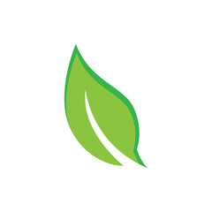 Green leaf illustration nature logo design