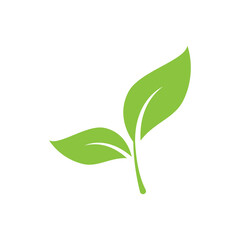 Green leaf illustration nature logo design