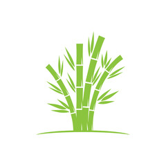 Bamboo with green leaf logo ilustration vector template