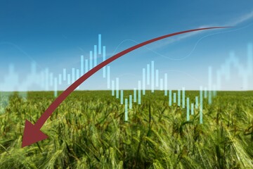 Global and European grain and wheat crisis after Russia's invasion of Ukraine. World's largest exporters of grain