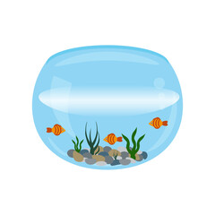 Aquarium with goldfish, algae and rocks