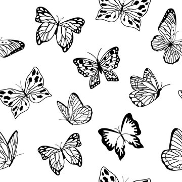 Seamless monochrome pattern. Graphic black Butterfly isolated on white background. Vector illustration