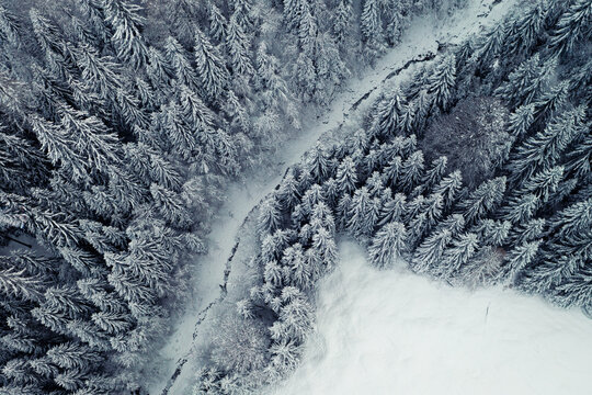Winter Landschaft mit verschneiten Bäume und Fluss von oben Drohne Schweiz