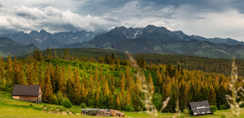 Fototapeta na wymiar Wide panorama of tatra mountains range, woodlands and meadows in Poland at summer