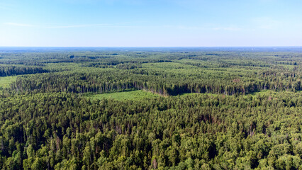 beautiful view of the forest from the drone