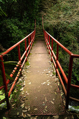 Obraz premium 山中に架けられた古い橋