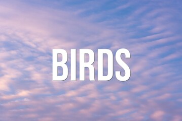 BIRDS - word on the background of the sky with clouds.