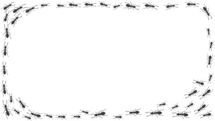 Trail of ants. A rectangle frame of insects. Vector