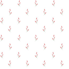 Pattern with watercolor pink flowers isolated.