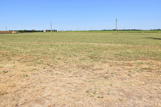 Dry arable land in summertime
