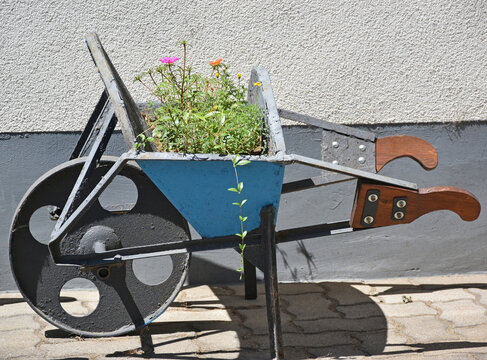 Wheelbarrow with flowers next to a wall