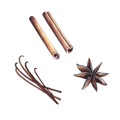 Spice tea: cinnamon sticks, star anise, vanilla. Watercolor isolated illustrations set.