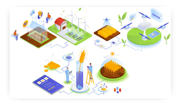 Farming industry, vector isometric illustration. Smart greenhouse, Iot. Genetically modified wheat. Agricultural drone.