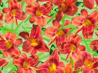 Seamless pattern with orange lily flowers with green foliage.