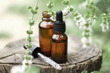 A bottles of mint oil on a tree stump. Essential oil, collagen serum for beauty. Cosmetics with natural ingredients.