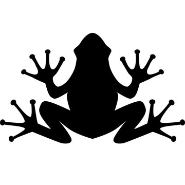 frog black sign on white background. frog icon logo. flat style.