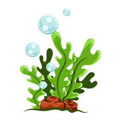 Cartoon seaweed illustration. Isolated on white background.