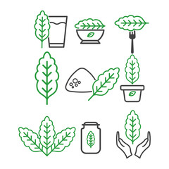Kale icon set vegan vector