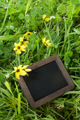 Blank board in meadow
