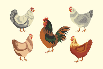 Chicken birds collection. Set of poultry clip. Vector illustrations of domestic chickens on white background. Cartoon chick isolated. Vector illustration.